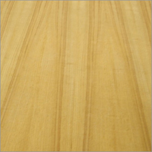 Teak Plywood