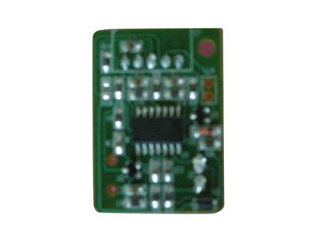 Electronic Module