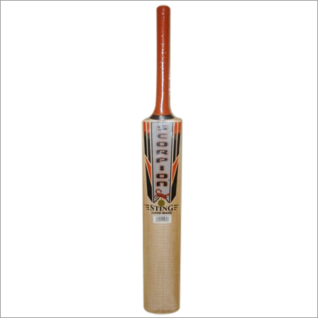 Kashmir Willow Bat with Cane Handle - 3 Springs