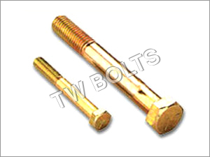 Brass Hex Screw