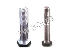 Ss Hex Screw