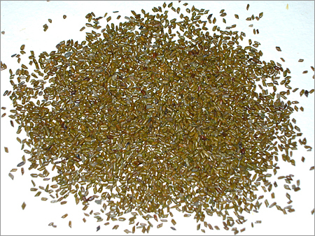 Cassia Torea Semen