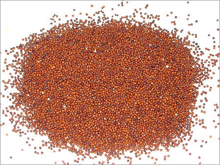 Red Ragi Seed