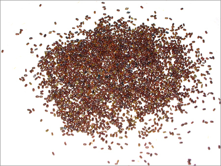 Sesbania Seed