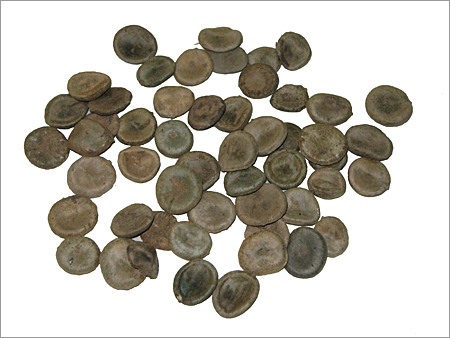 Strychnos Nux Vomica Seed
