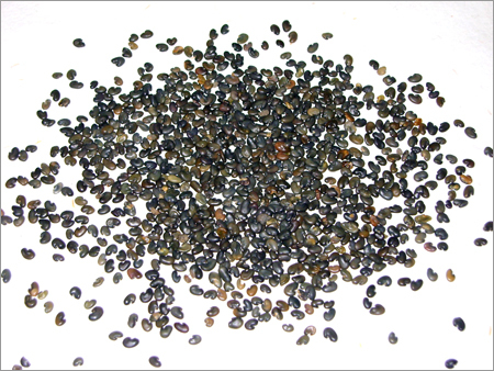 Sunhemp Seed