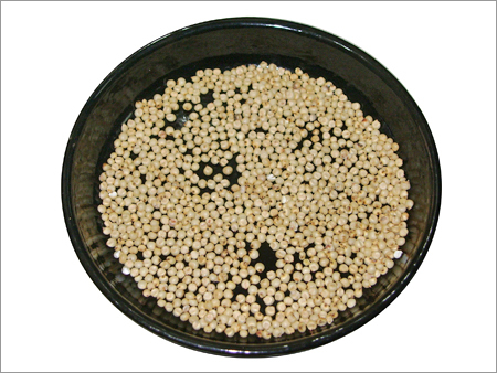White Sorghum