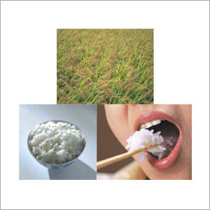 Aromatic Basmati Rice 1121