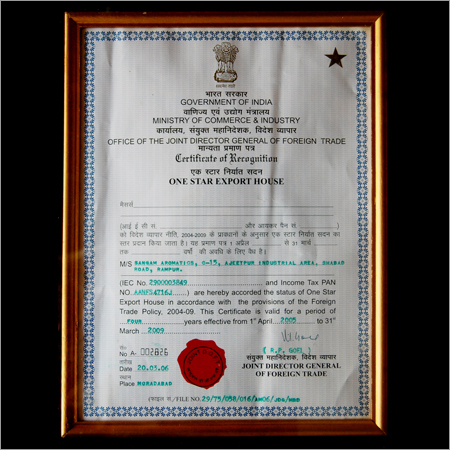 Award & Achievement - Paper Frame A4 Gold, Glossy Finish | Recognition, Achievement, Prestige, Motivation, Formal, Appreciation
