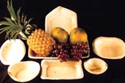 Betel Nut Disposable & Bio-degradable Plates