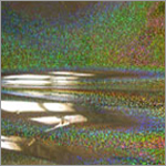 Holographic Film for Packaging