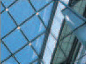 Frameless Spider Glazing