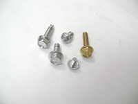  Stainless Steel Bolts
