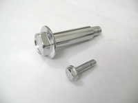  Stainless Steel Bolts
