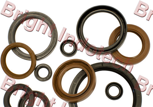 Oil Seals