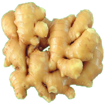 Ginger exporters in india