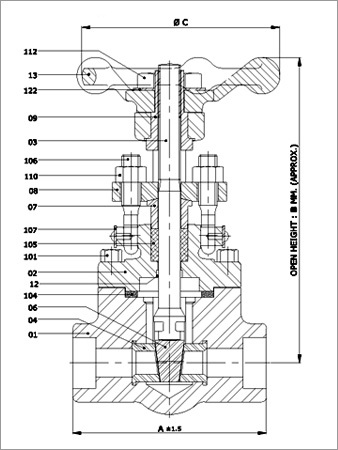 Forged Steel Gate Valve class 800