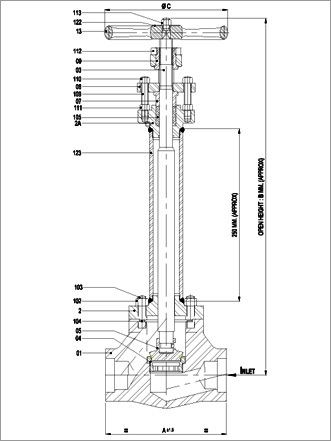 Globe Valve Cryogenic