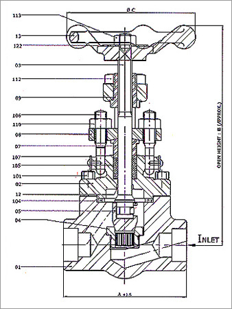 Forged Steel Globe Valve