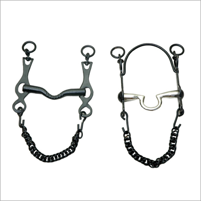 Portuguese Bit