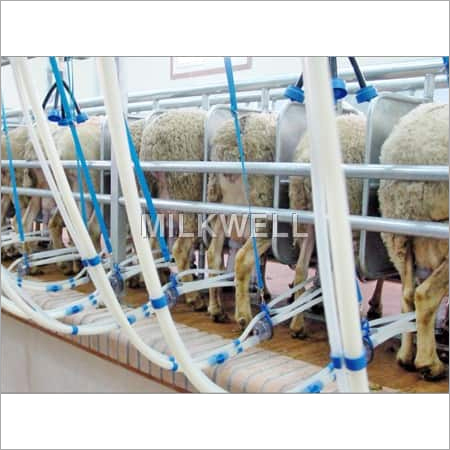 Sheep Milking Parlors