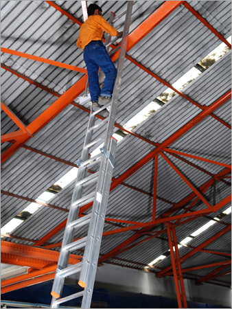 Three Way Straight Ladders