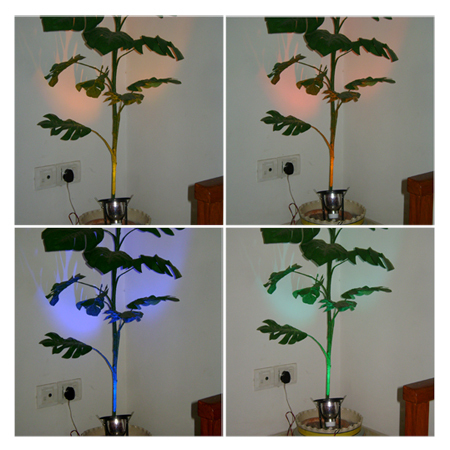 RGB Lights