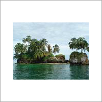 Travel Agents & Tour Operators