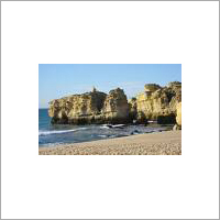 Travel Agents & Tour Operators