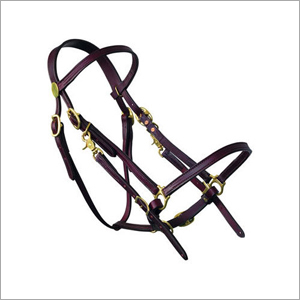 Horse Bridle