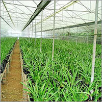 Agricultural Net Shading