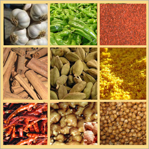 Spices & Seasonings