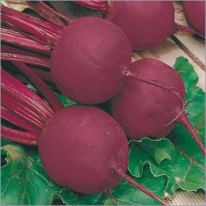 Beet Root Bolt Hardy