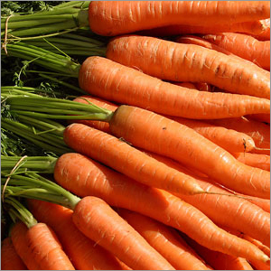 Carrots