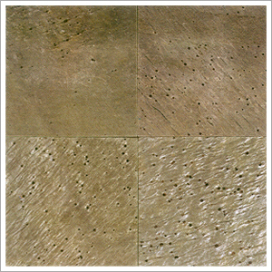 D. Green (Quartzite)