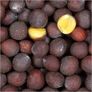 Black Mustard Seeds - Small Round Dark Brown Seeds, Low Moisture, High Purity, Aromatic, Pungent Flavor