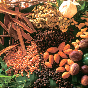 Exotic Spices - Diverse Global Ingredients, Bulk/Retail Packaging | Exotic Blends, Unique Flavors, Ethically Sourced