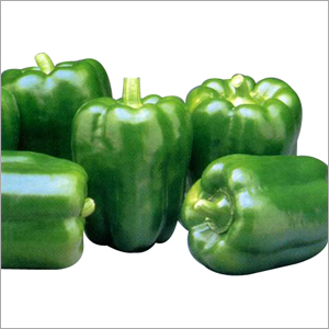 Green Bell Pepper