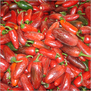 Red Chillies