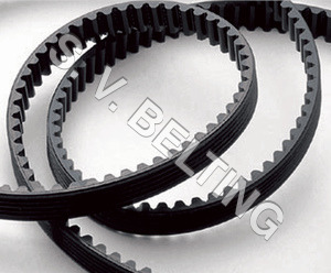 Timing Belts