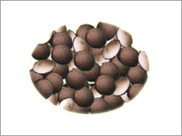 Coconut Shell