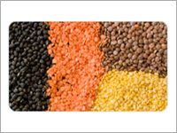 Pulses