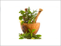 Herbs
