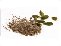 Cardamom