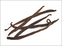 Vanilla