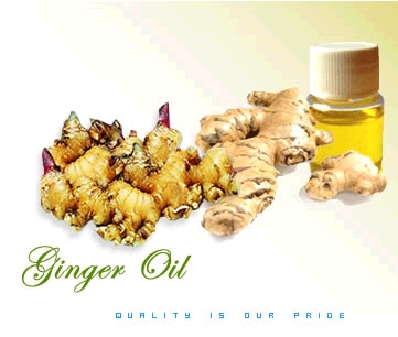 Ginger Essential Oil Ginger Essential Oil