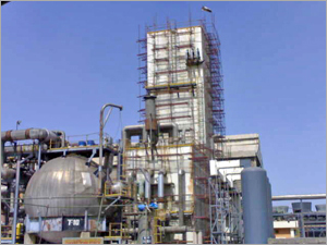 Scaffolding Fittings