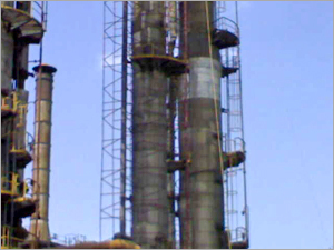 Multi Purpose Scaffoldings