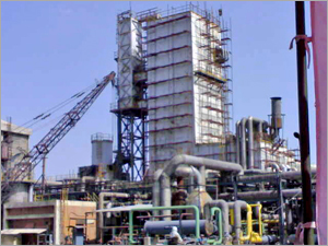 Construction Scaffoldings