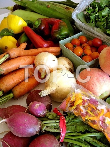FRESH VEGETABLES